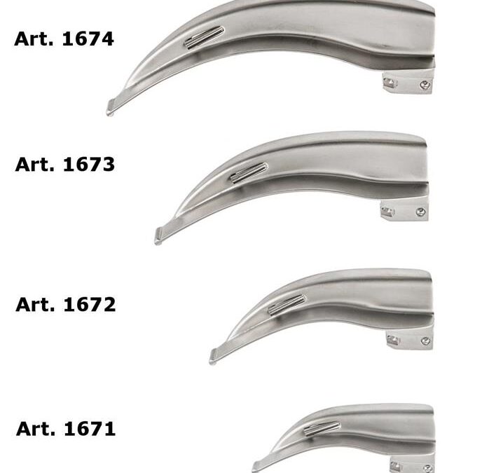 1679 McIntosh